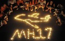 Nhìn lại một số hình ảnh tại hiện trường MH17